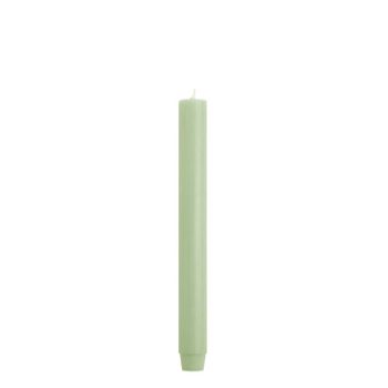 Lindegroen dinerkaars 2,6×30 cm | Rustik Lys