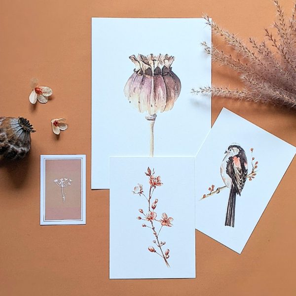 Papaver | Artwork By Madelon