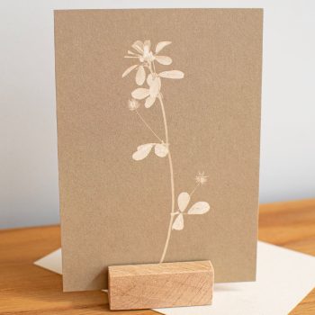 Secondary product image