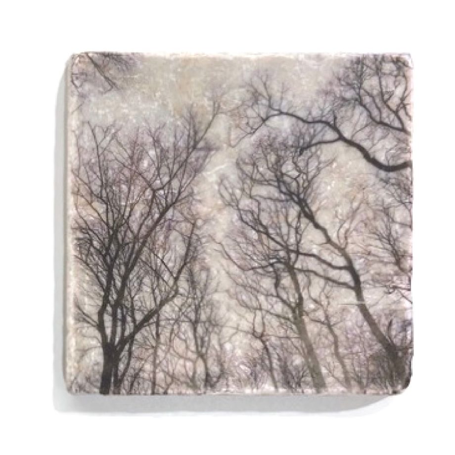 Nature Art Tiles Trees | Karen Winnubst