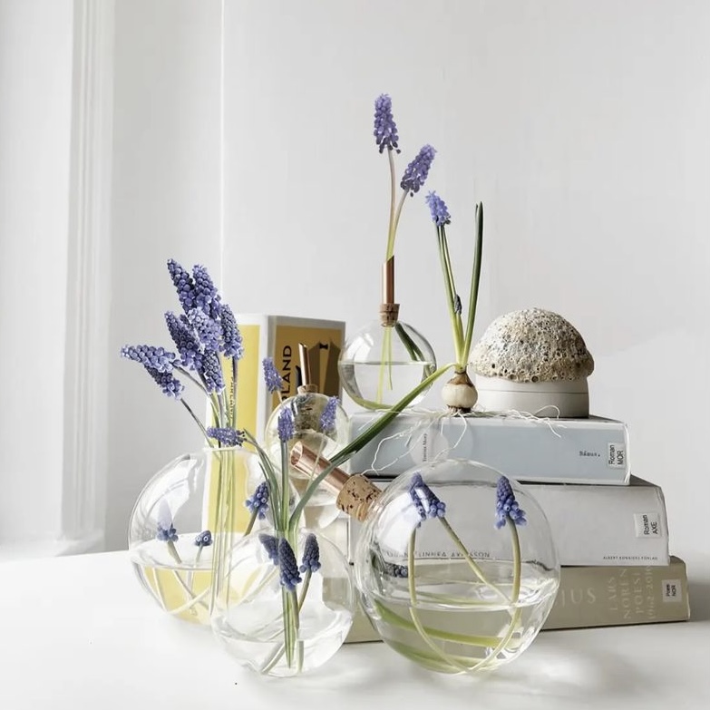 Glasilium helder | Scandinaviaform