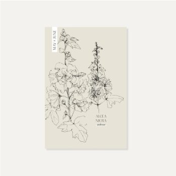 Secondary product image