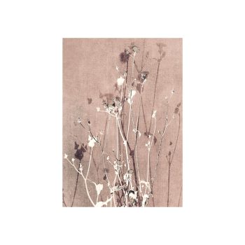 Quiet Resource Light Terra Kaart | Blooming Label