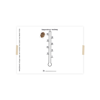 Secondary product image