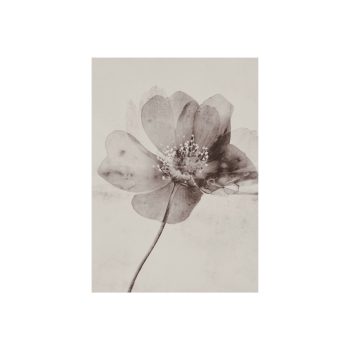 Botanique Magique | Blooming Label