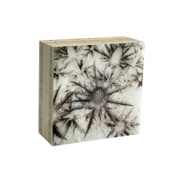 Block distel 15 | Karen Winnubst