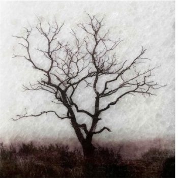 Secondary product image