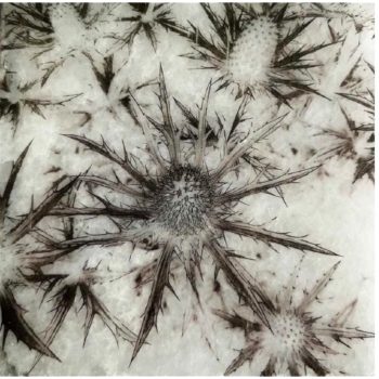 Secondary product image