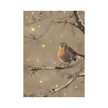 Robin | Studio Veldman