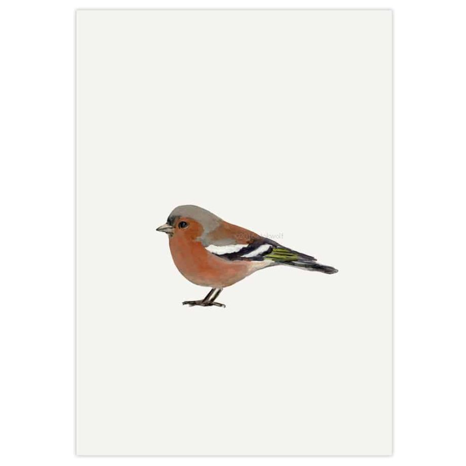 Vink | Stokwolf